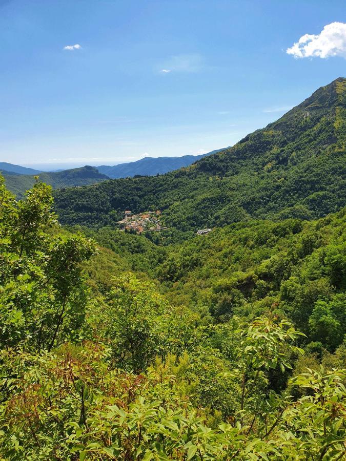 Il Bosco Di Campo Marzano Garden Apartments Borzonasca ภายนอก รูปภาพ