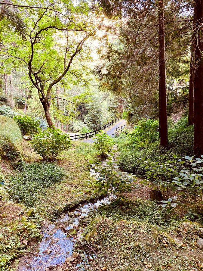 Il Bosco Di Campo Marzano Garden Apartments Borzonasca ภายนอก รูปภาพ