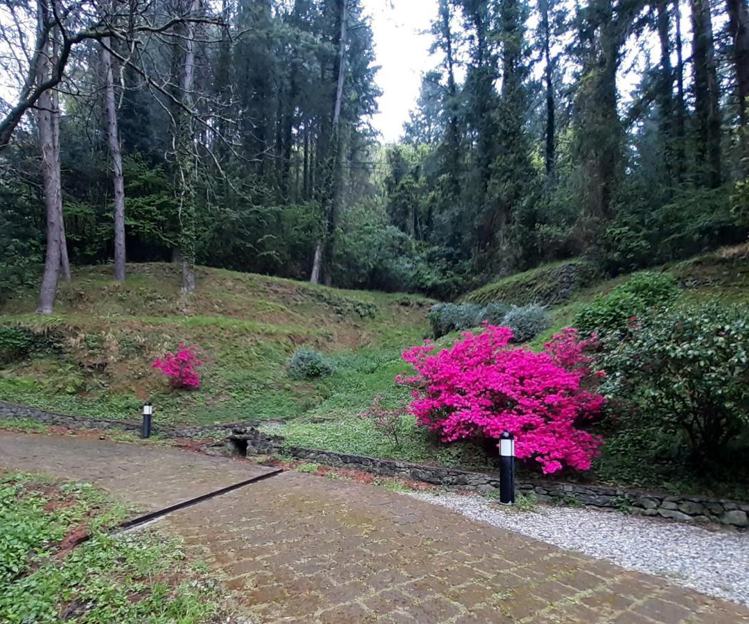Il Bosco Di Campo Marzano Garden Apartments Borzonasca ภายนอก รูปภาพ