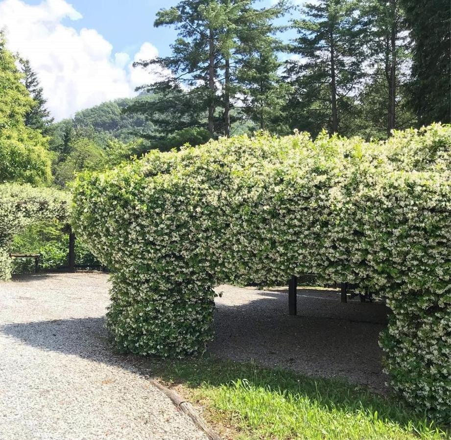 Il Bosco Di Campo Marzano Garden Apartments Borzonasca ภายนอก รูปภาพ