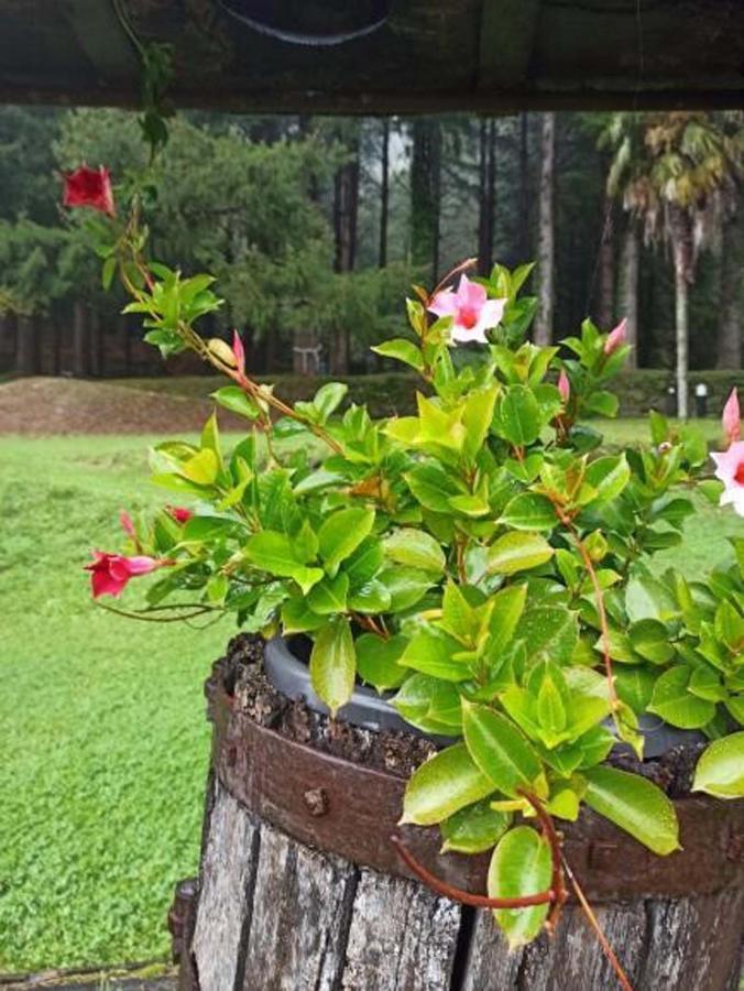 Il Bosco Di Campo Marzano Garden Apartments Borzonasca ภายนอก รูปภาพ