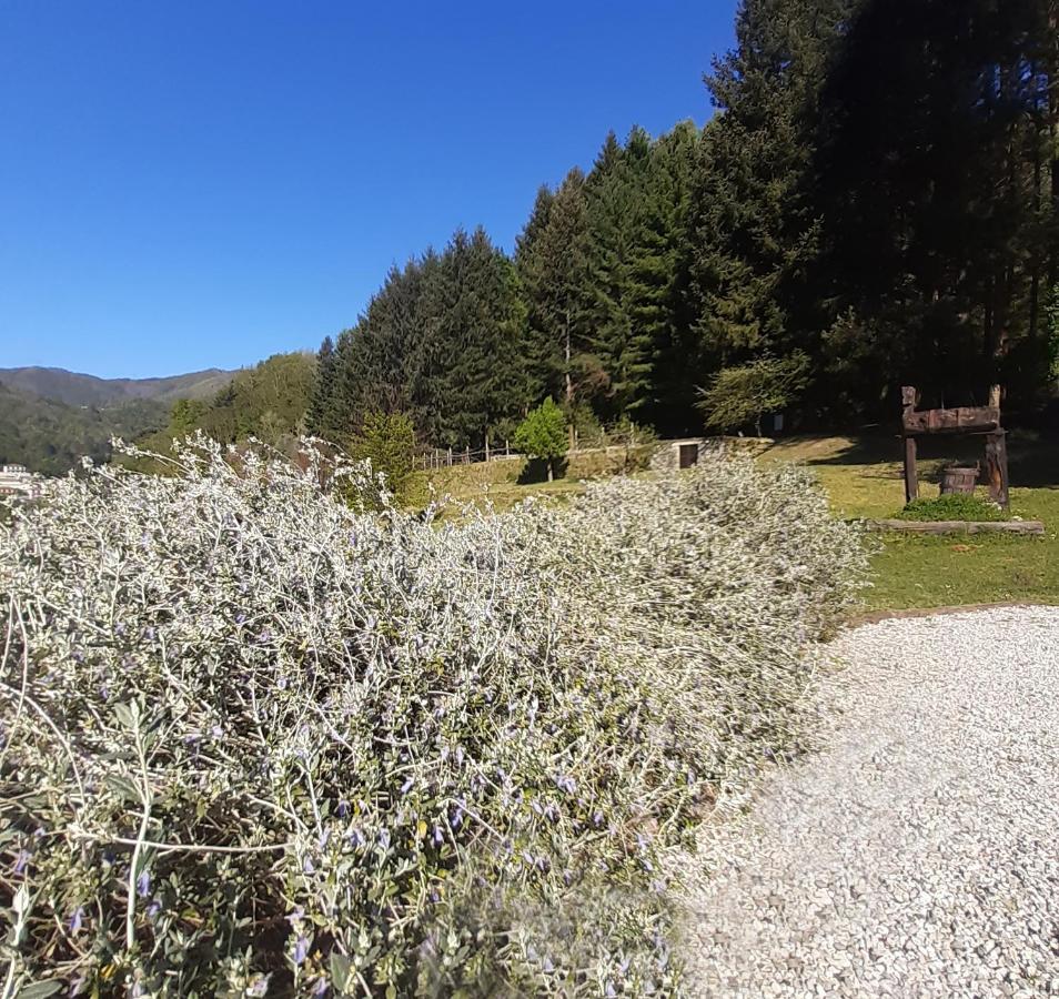 Il Bosco Di Campo Marzano Garden Apartments Borzonasca ภายนอก รูปภาพ
