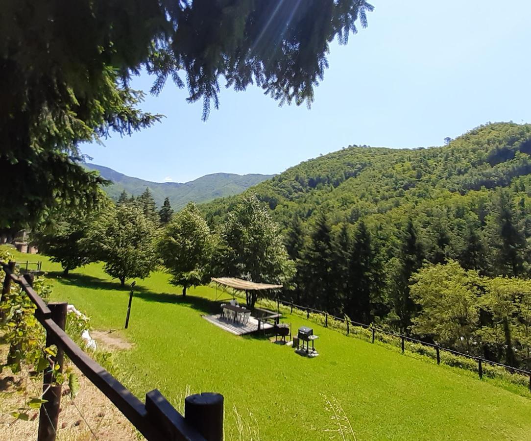 Il Bosco Di Campo Marzano Garden Apartments Borzonasca ภายนอก รูปภาพ