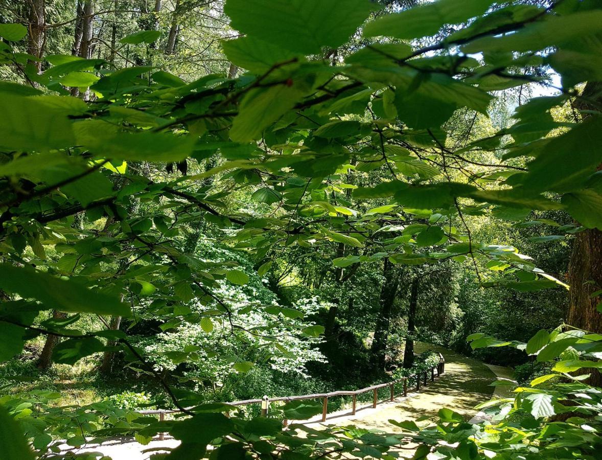 Il Bosco Di Campo Marzano Garden Apartments Borzonasca ภายนอก รูปภาพ