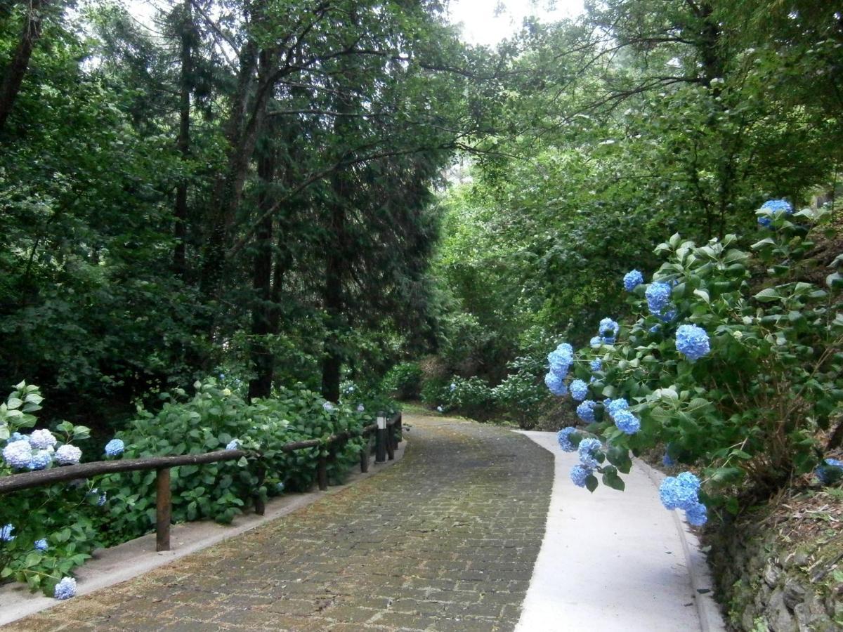 Il Bosco Di Campo Marzano Garden Apartments Borzonasca ภายนอก รูปภาพ