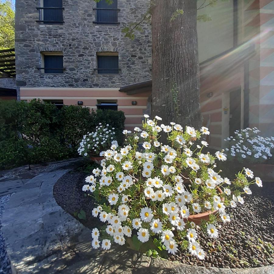 Il Bosco Di Campo Marzano Garden Apartments Borzonasca ภายนอก รูปภาพ